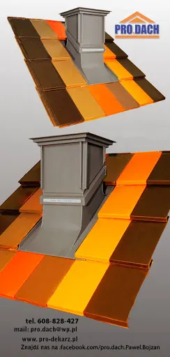 Pro.Dach Paweł Bojzan